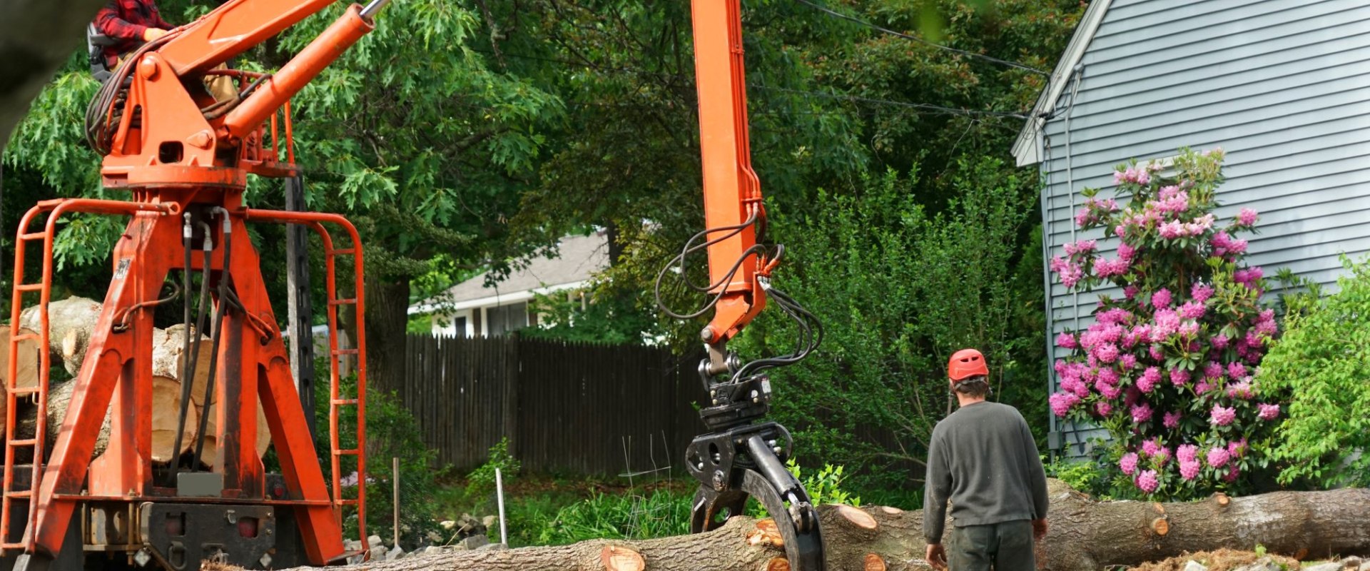 Choosing The Right Tree Service In Portland: The Importance Of Quality Forestry Equipment