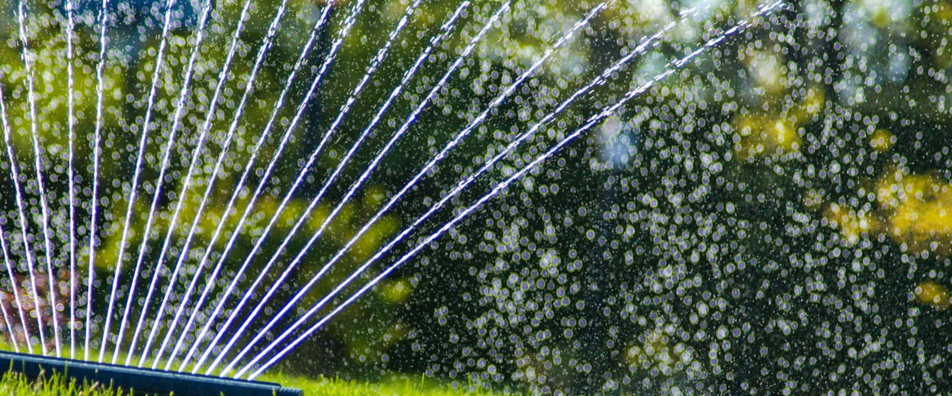 Beyond The Hose Exploring Advanced Residential Irrigation Systems And Forestry Equipment For Your Home Garden In Northern Virginia