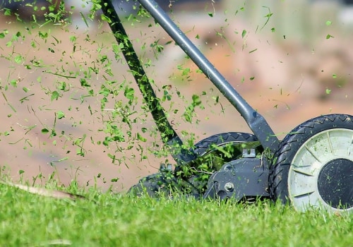 Choosing The Right Lawn Mowing Services In Northern VA: A Forestry Equipment Perspective