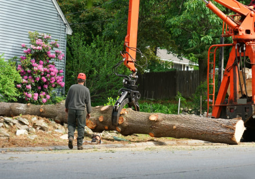 Choosing The Right Tree Service In Portland: The Importance Of Quality Forestry Equipment